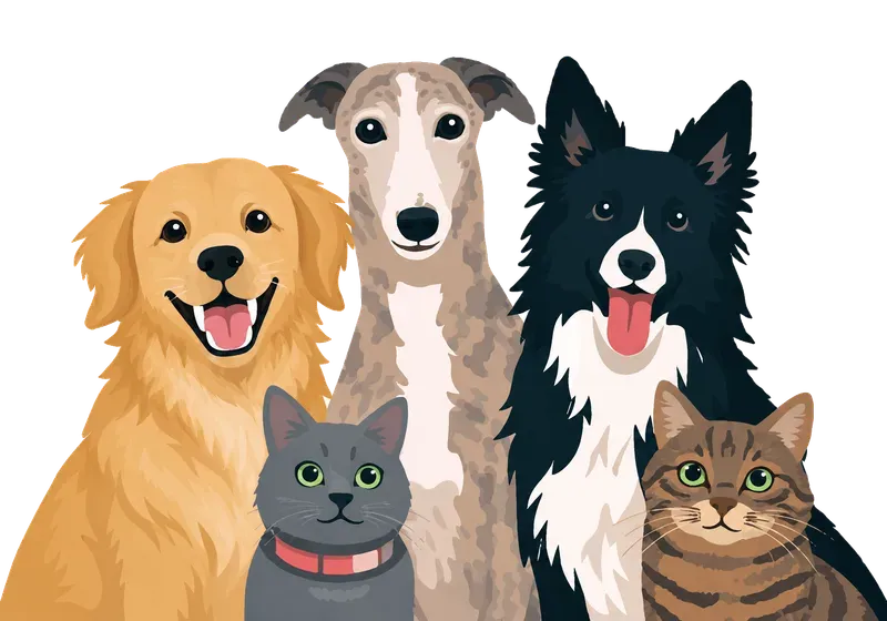Perros y gatos felices en la Clínica Veterinaria Rovira