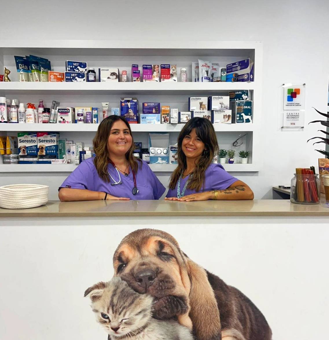 Equipo profesional Clínica Veterinaria Rovira
