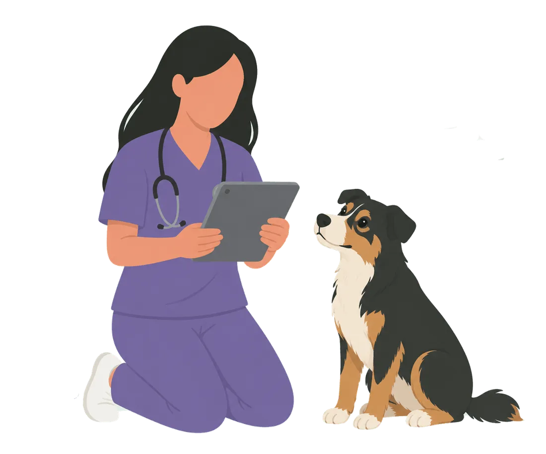 Veterinaria realizando una revisión preventiva a un perro en Gràcia, Barcelona